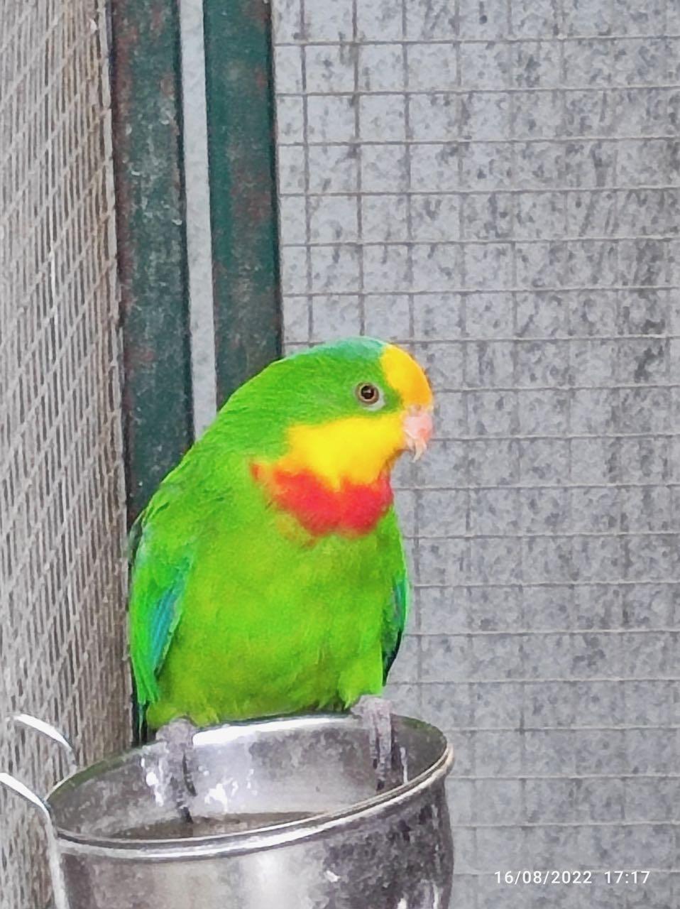 Img 20220816 171732
